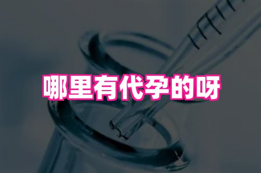泉州助孕网 4